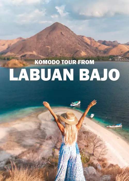 Komodo Tour From Labuan Bajo