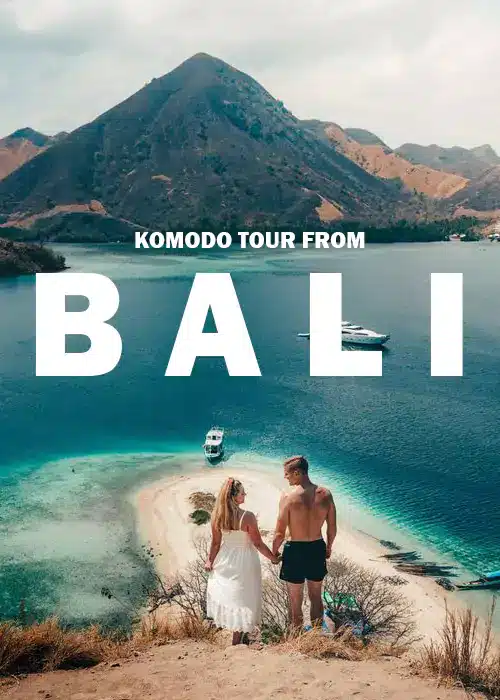 Komodo Tour From Bali