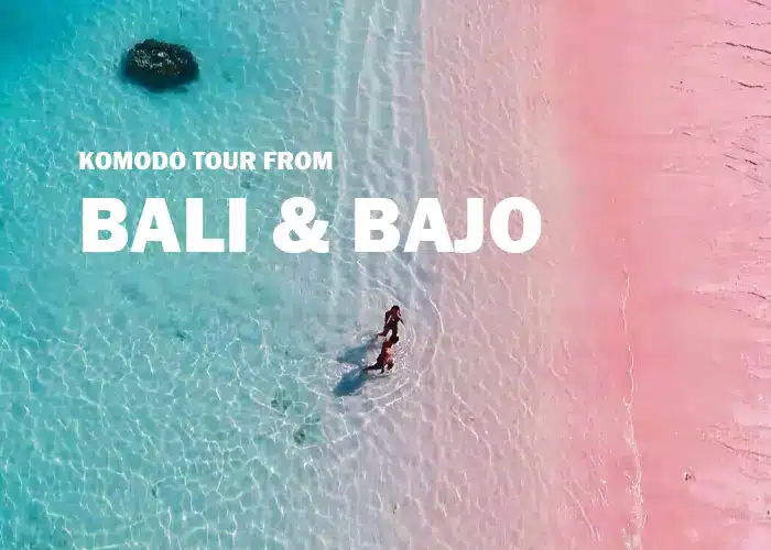 Cost Komodo Tour From Bali Vs Komodo Tour From Labuan Bajo